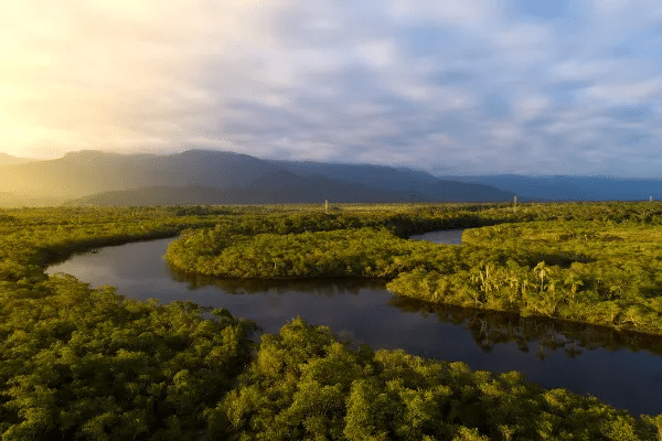 canalcienciascriminais.com.br tres casos criminosos que abalaram o amazonas e poderiam virar documentarios floresta amazonica rio amazonas