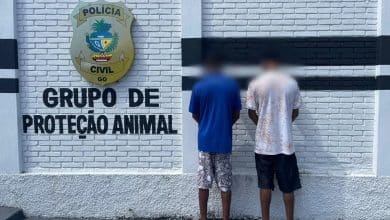 canalcienciascriminais.com.br presos em goiania por maus tratos a animais e posse de drogas apos denuncia anonima presos maus tratos