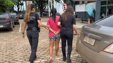 canalcienciascriminais.com.br chocante mae e presa em brasilia por violencia verbal sexual e negligencia contra filhos mae presa violencia filhos